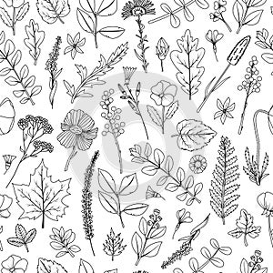 A seamless pattern of dried leaves and flowers for the herbarium