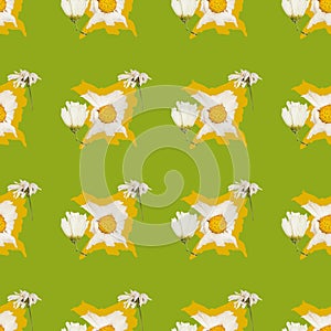 Seamless pattern with dry flowers on limegreen background