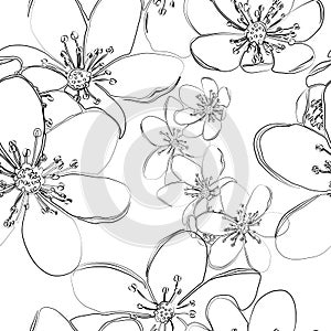 Seamless pattern with early spring flowers liverleaf