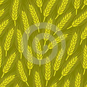 Seamless pattern with ears of wheat.