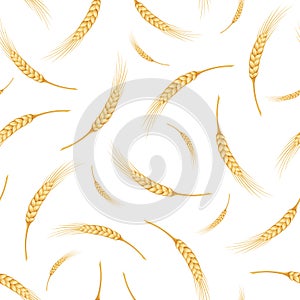 Seamless pattern with ears of wheat. Vector illustration.