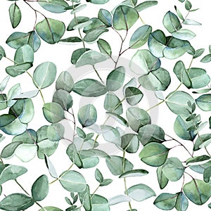 Seamless pattern with eucalyptus leaves on a white background. vintage print, botanical illustration, hand drawing.