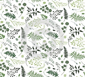 Seamless pattern of Eucalyptus palm fern different tree, foliage