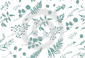 Seamless pattern of Eucalyptus palm fern different tree, foliage