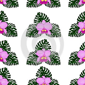 Seamless pattern of exotic, bright green monstera leaves and pink orchids, isolated on a transparent background