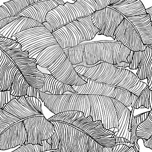 Seamless pattern of exotic, white banana leaves with a black outlines isolated on a transparent background.