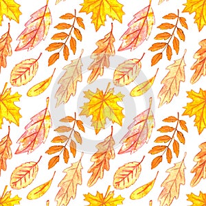 Seamless pattern falling leaves. Watercolor autumn textured background hand drawn. Concept of forest, leaf fall, nature