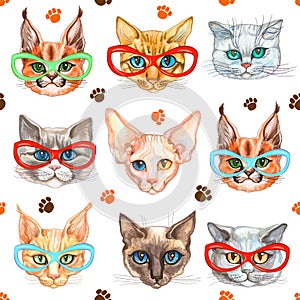 Seamless pattern with fashionable cats in glasses. Watercolor. Vector.