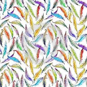 Seamless pattern with feathers