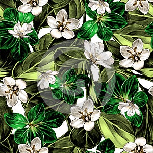 Seamless pattern featuring grass leaves and wildflowers