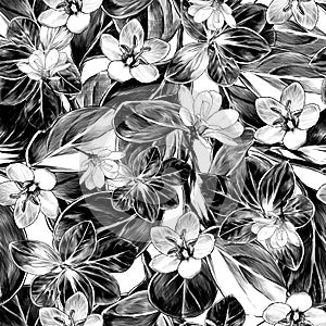 Seamless pattern featuring grass leaves and wildflowers