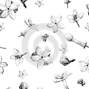 Seamless pattern featuring jasmine flowers and tropical flowers