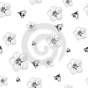 Seamless pattern featuring strawberry or raspberry flowers