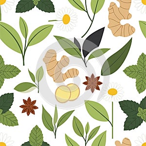 Seamless pattern featuring various botanical elements on a white background.