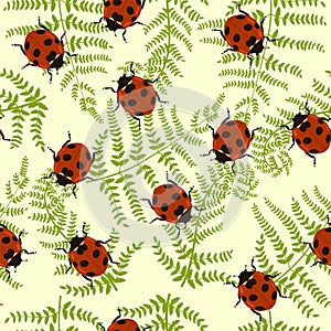 Seamless pattern with fern and ladybugs. Vector graphics