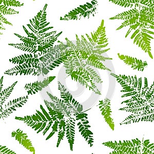 Seamless pattern with fern leaves paint prints isolated on white background 16