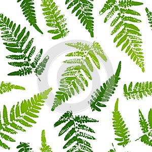 Seamless pattern with fern leaves paint prints isolated on white background 2