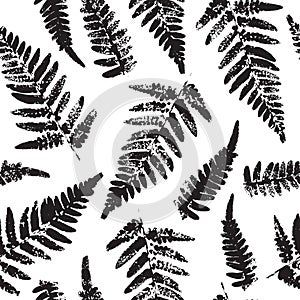 Seamless pattern with fern leaves paint prints isolated on white background 7