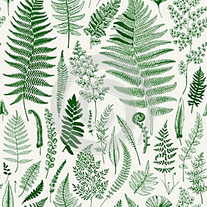 Seamless pattern. Ferns.