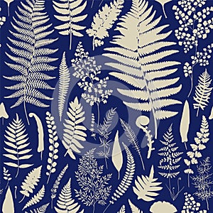 Seamless pattern. Ferns.