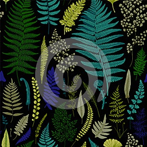 Seamless pattern. Ferns.