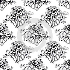Seamless pattern with fig trees
