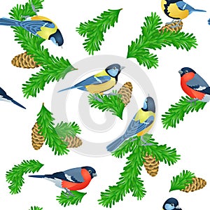 Seamless pattern with fir paws, titmouse and bullfinches