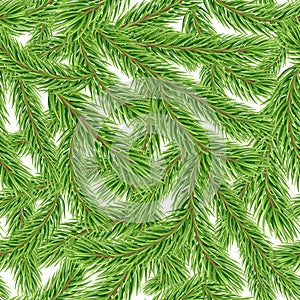 Seamless pattern with fir tree branch