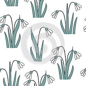 Seamless pattern with the first spring flowers . Vector illustration with graphic snowdrops