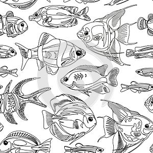 Seamless pattern with fish and seascape isolated on a white background.