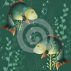 Seamless pattern with fish. Underwater world, crucian carp and algae on a green background. carp