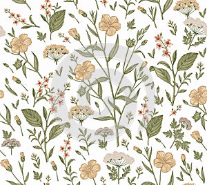 Seamless pattern Flax isolated flowers Vintage background Wallpaper Drawing engraving. Vector illustration