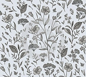 Seamless pattern Flax isolated flowers Vintage background Wallpaper Drawing engraving. Vector illustration