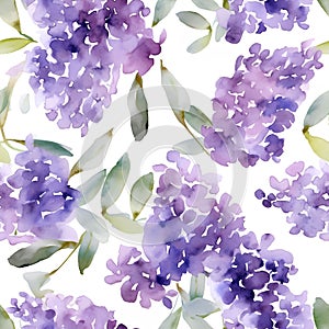 Seamless pattern with floral histeria. Vector watercolor Illustration photo