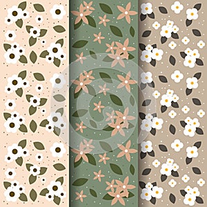 Seamless Pattern Floral Vector for Background and textures