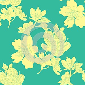 Seamless pattern flower of the almond blossoms a nut vector il