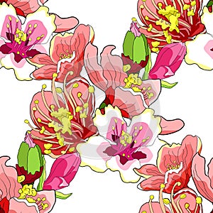 Seamless pattern flower of the almond blossoms. vector illustra