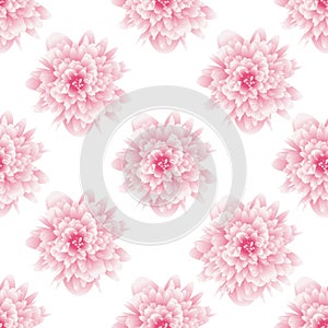 Seamless pattern flower. Background for fabrics, textiles, paper