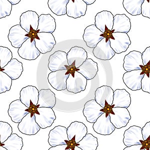 seamless pattern with flower of labdanum photo