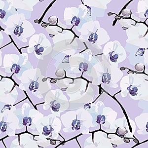 Seamless pattern of flower orchids