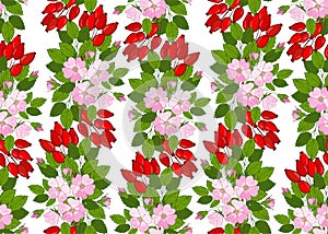 seamless pattern with flowers and berries dogrose. Floral background with wild rose