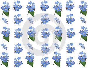 Seamless pattern with flowers - Forget me not flowers pattern - illustration