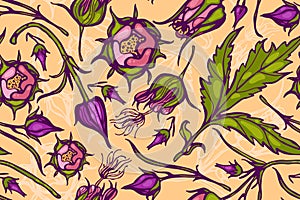 Seamless pattern with flowers. Geum Rivale. Rosaceae. Vector. Hand drawn. photo