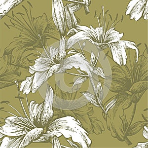 Seamless pattern with flowers lilies. Vector illus