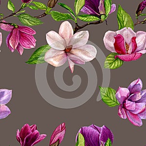 Seamless pattern with flowers of magnolia.