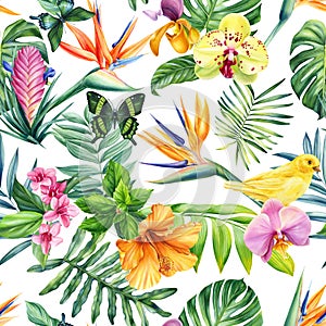 Seamless pattern Flowers, palm leaves, butterfly, bird. Watercolor Tropical floral background. Wallpaper, exotic plant