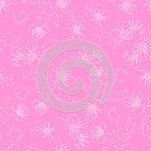 Seamless pattern with flowers of sakura