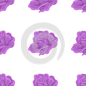Seamless pattern flowers. The seamless pattern flowers added decorative touch to design