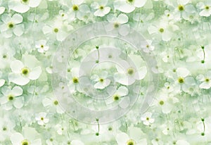 Seamless pattern. Flowers in soft shades of green and white, ethereal and dreamy, Xray style. High resolution. AI generated
