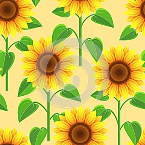 Seamless pattern with flowers sunflowers
